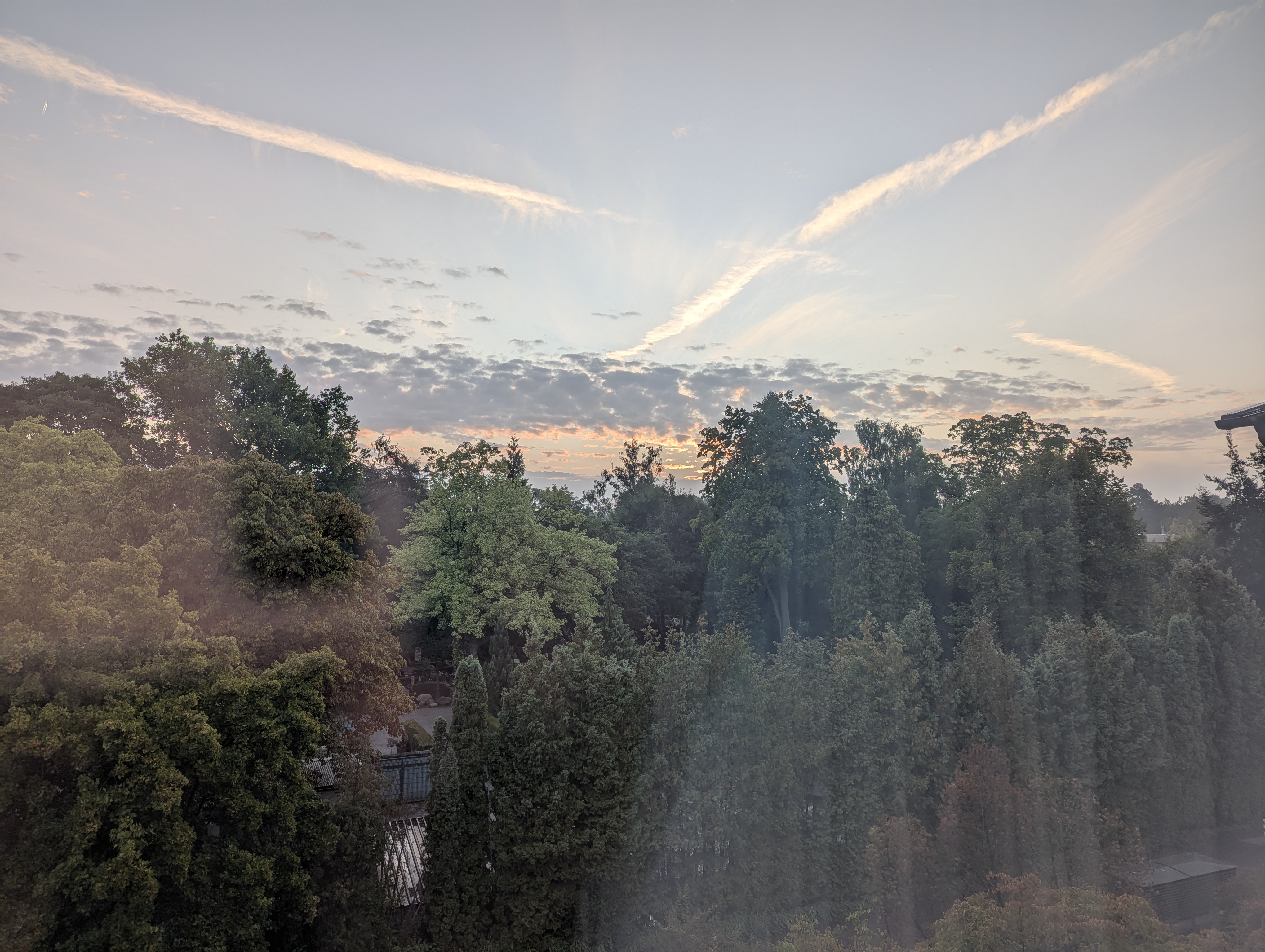 train, Muenster, Koln, Germany